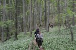 2014.05.11 Sonderlauf Beuren Schlatt