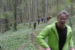 2014-05-11_00024.jpg