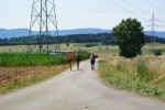 2018.07.01 Sommerlauf bei Grosselfingen